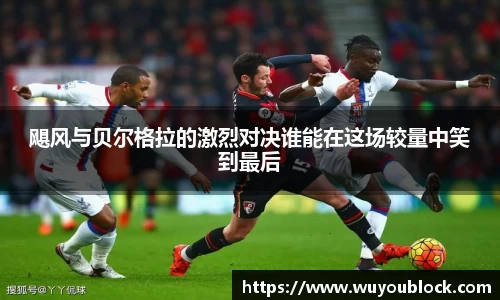 球速体育平台